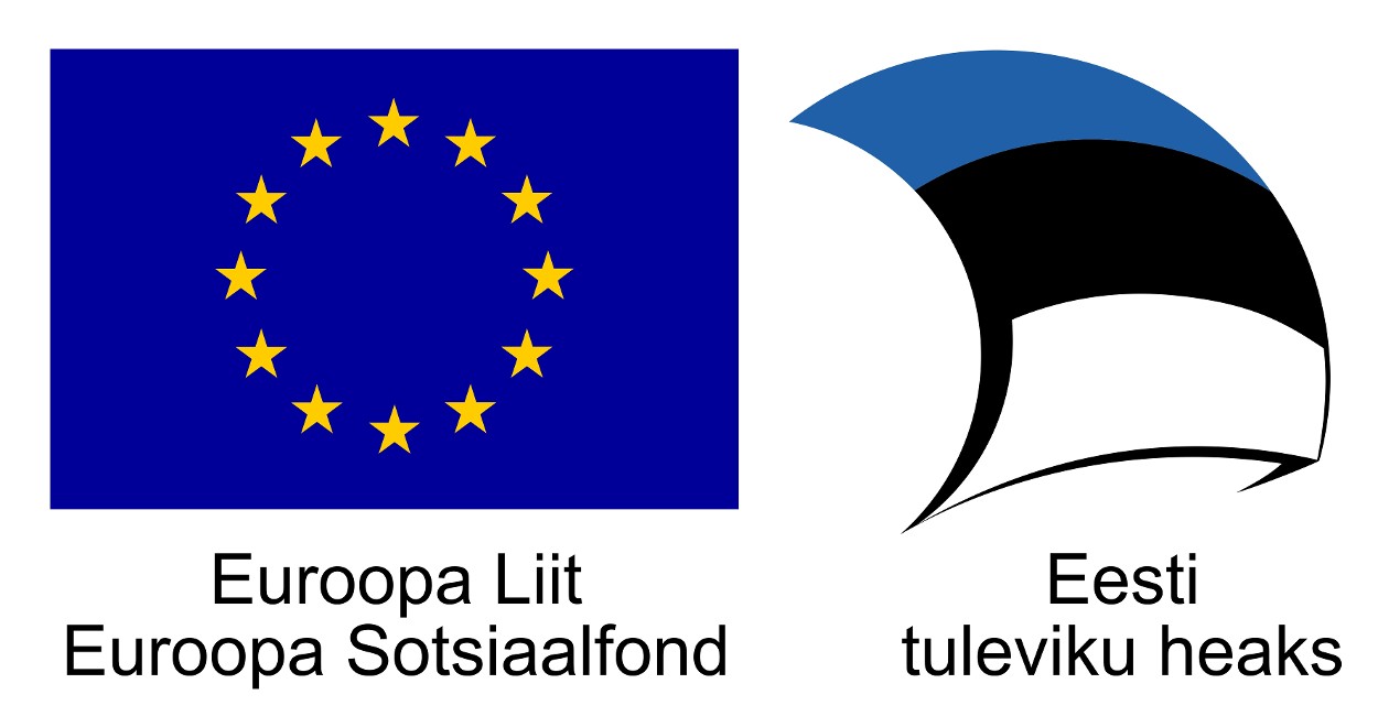 Euroopa Liit, Euroopa Sotsiaalfond, Eesti tuleviku heaks