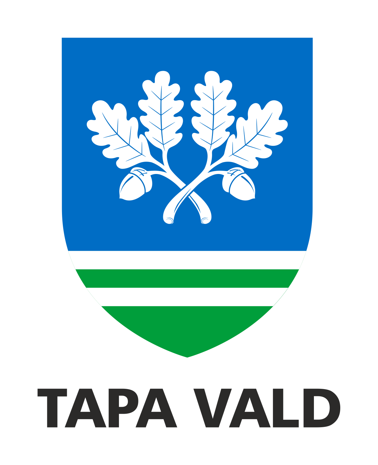 Tapa valla vapp, musta tekstiga TAPA VALD