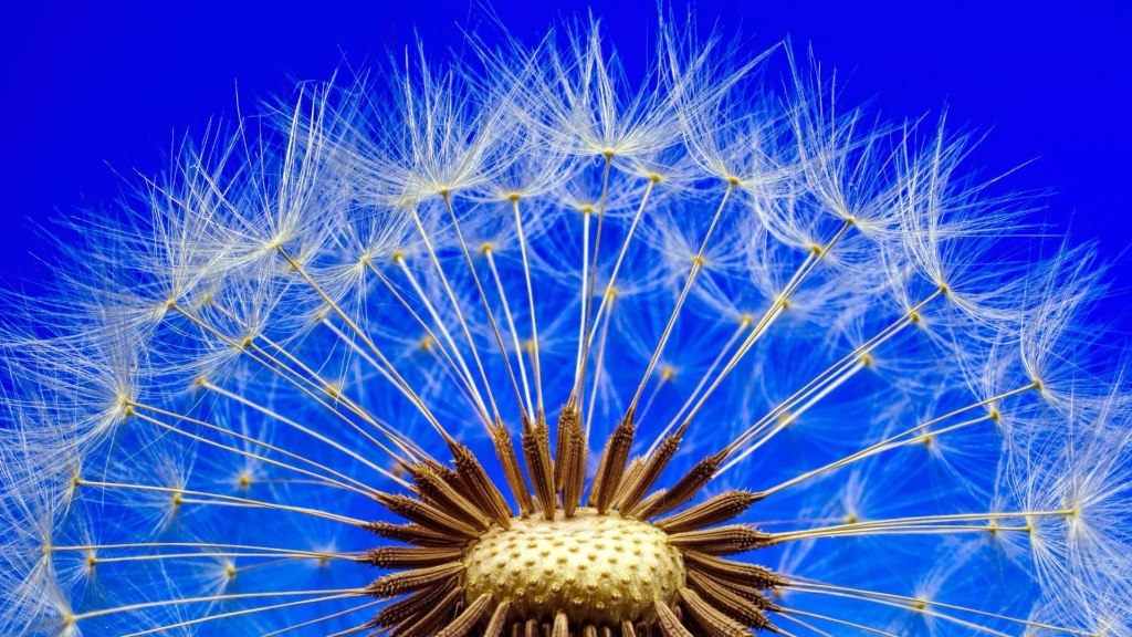 nature-3092555_1920_pixabay, jplenio.jpg